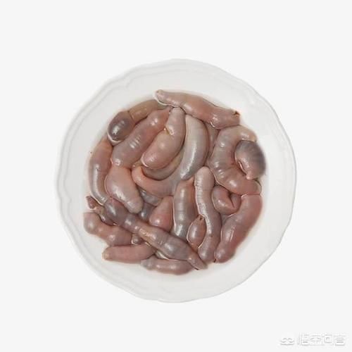  海鲜|大家吃过的长相最奇葩的海鲜都有哪些，怎么做的？好吃么？