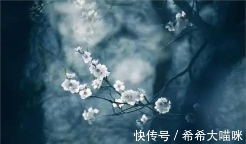 绝句!一位十八岁的七律爱好者,如何突破当下的困境——作品修改回复