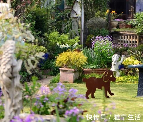 大花园|退休夫妻花4年改造自家老房,建3000㎡大花园,住在人间仙境里