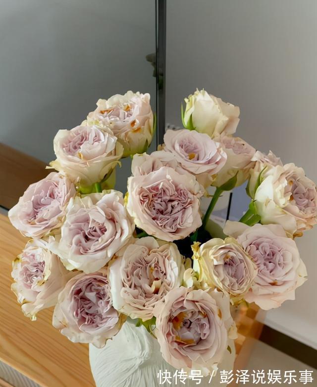 知名主持人北漂10年仍在租房，廚房簡陋遭嘲諷，自曝省錢資助他人