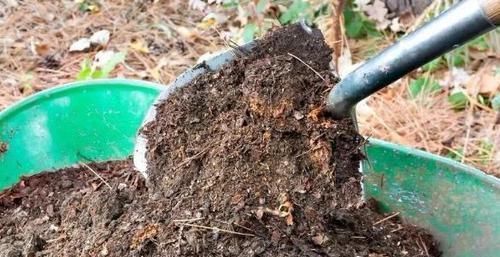 花都|学会制作这些“氮、磷、钾肥”,养啥花都长得又快又好