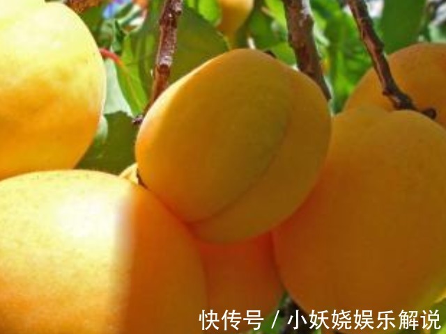 怀孕|怀孕时,孕妈尽量远离这4种食物,否则会对胎儿的发育造成伤害