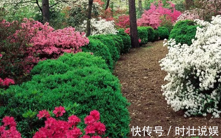 孝顺|晚年身体好的三大生肖女，子女孝顺，不会给孩子带来麻烦