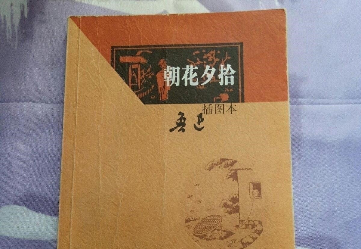 中学生@仰慕过丰碑并从丰碑下走过的少年，差不了，中学生不能不读鲁迅