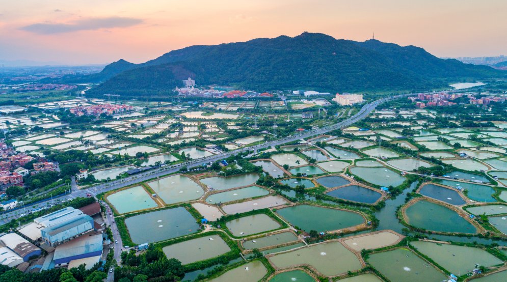 探寻西樵山脚百年古村！打卡一场岭南之旅→|周末自驾 | 岭南