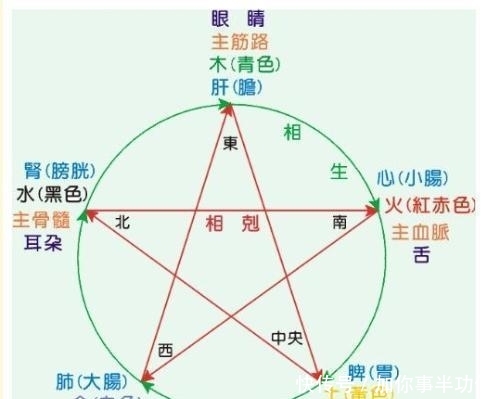 命理基础知识 五行属性 人体对应 五行四时旺衰 快资讯