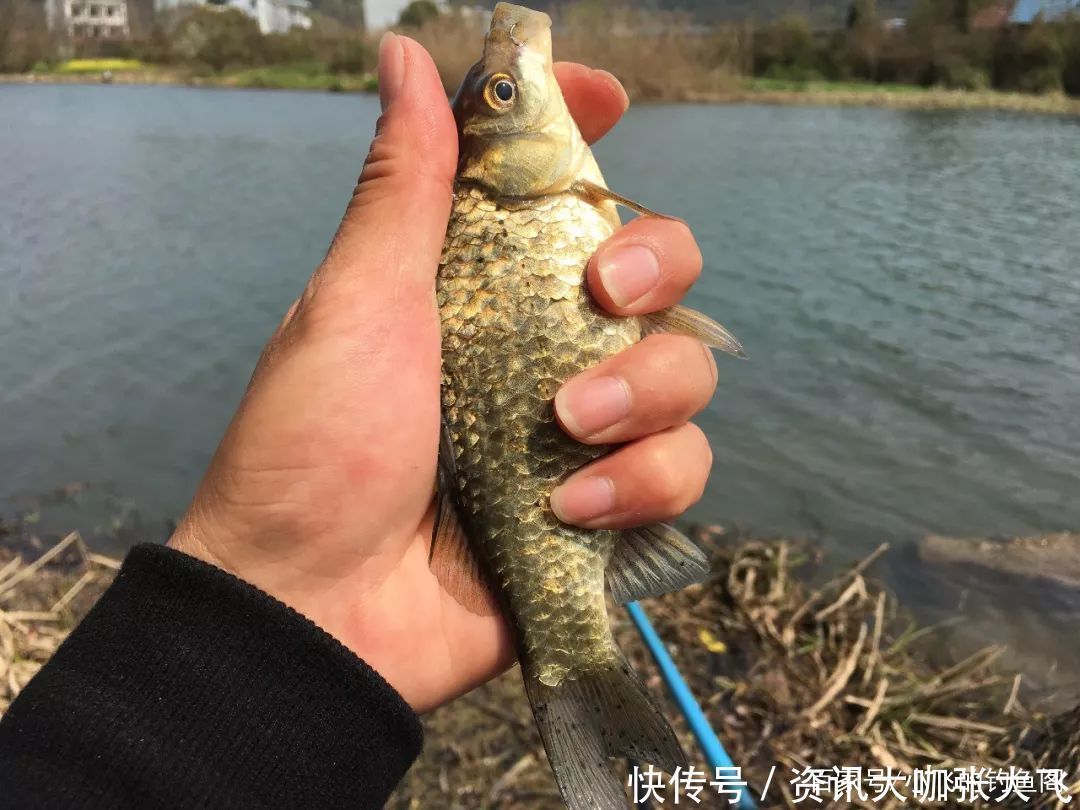 钓鱼最害人的5句话,看似很有道理,其实是钓技差的表现