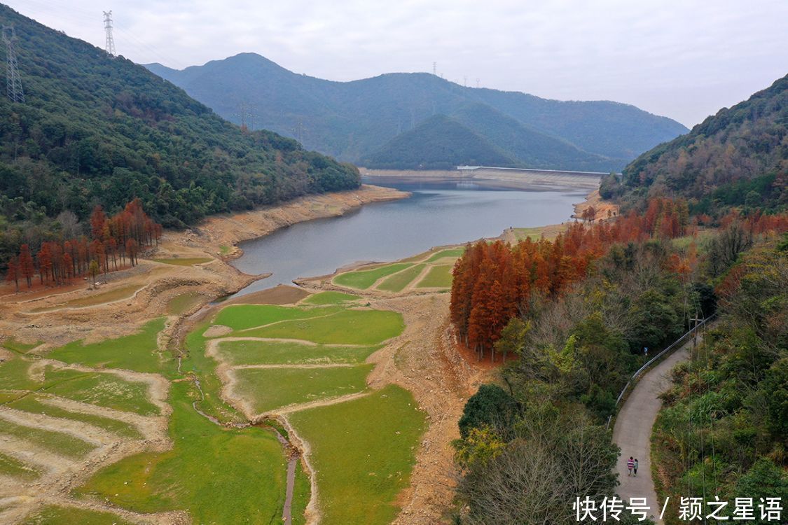 红杉林|水库水杉红，风光之美，缺水之忧