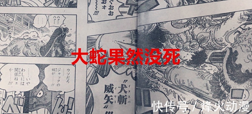翻白眼|海贼王1026话：大蛇果然还没死，桃之助咬住了凯多的“龙蛋”？