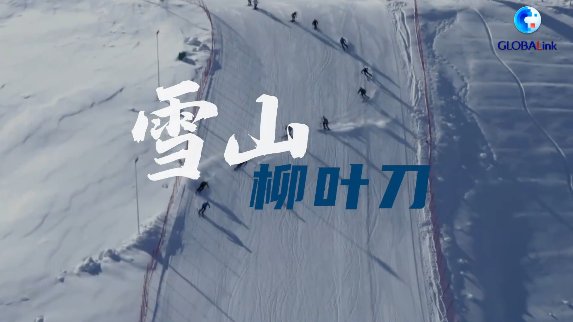 生死时速|面对陡坡、冰状雪，如何施救？揭秘冬奥高山滑雪医生的“生死时速”