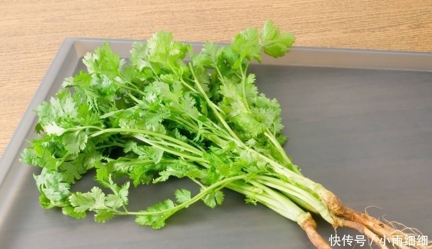 香菜|香菜不能与此物一起食用,却有很多人还不清楚,看完告诉身边人