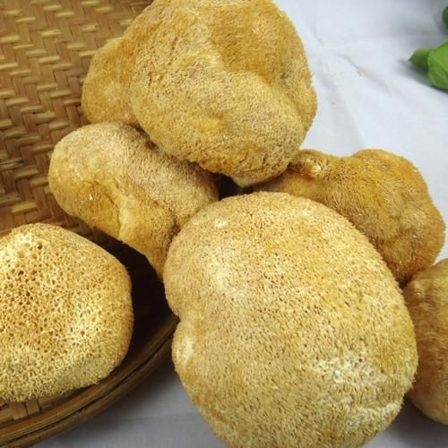 医生|7岁男娃半年长10分公，医生：这类食物是“助力”食方，可多食