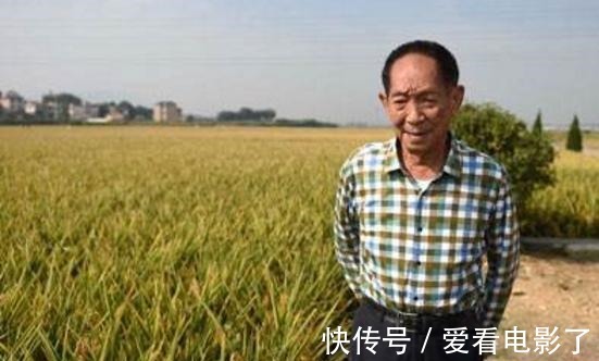 士兵突击&袁隆平书法他的书法质朴厚道,风骨遒劲透露书卷气!