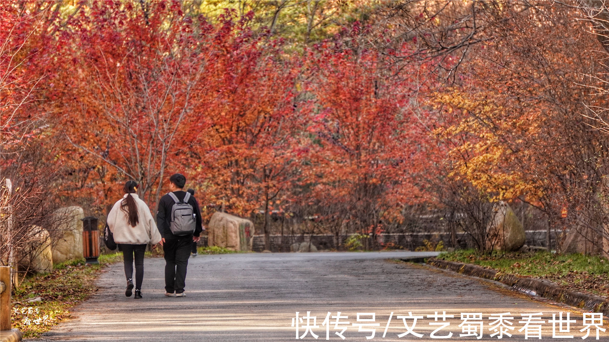 红叶|又快到了去本溪赏枫的季节，枫林谷是我退休以后每年都要去的地方