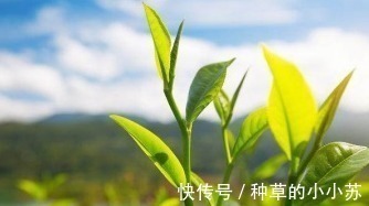 皮肤|这几款洗面奶用过一次就上瘾！第1支比400多的香奈儿还好用