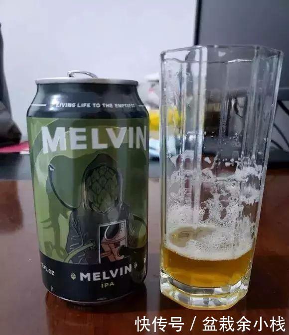 盆土|盆里灌点饮料,盆土疏松有营养,10年不用换土花也长得旺