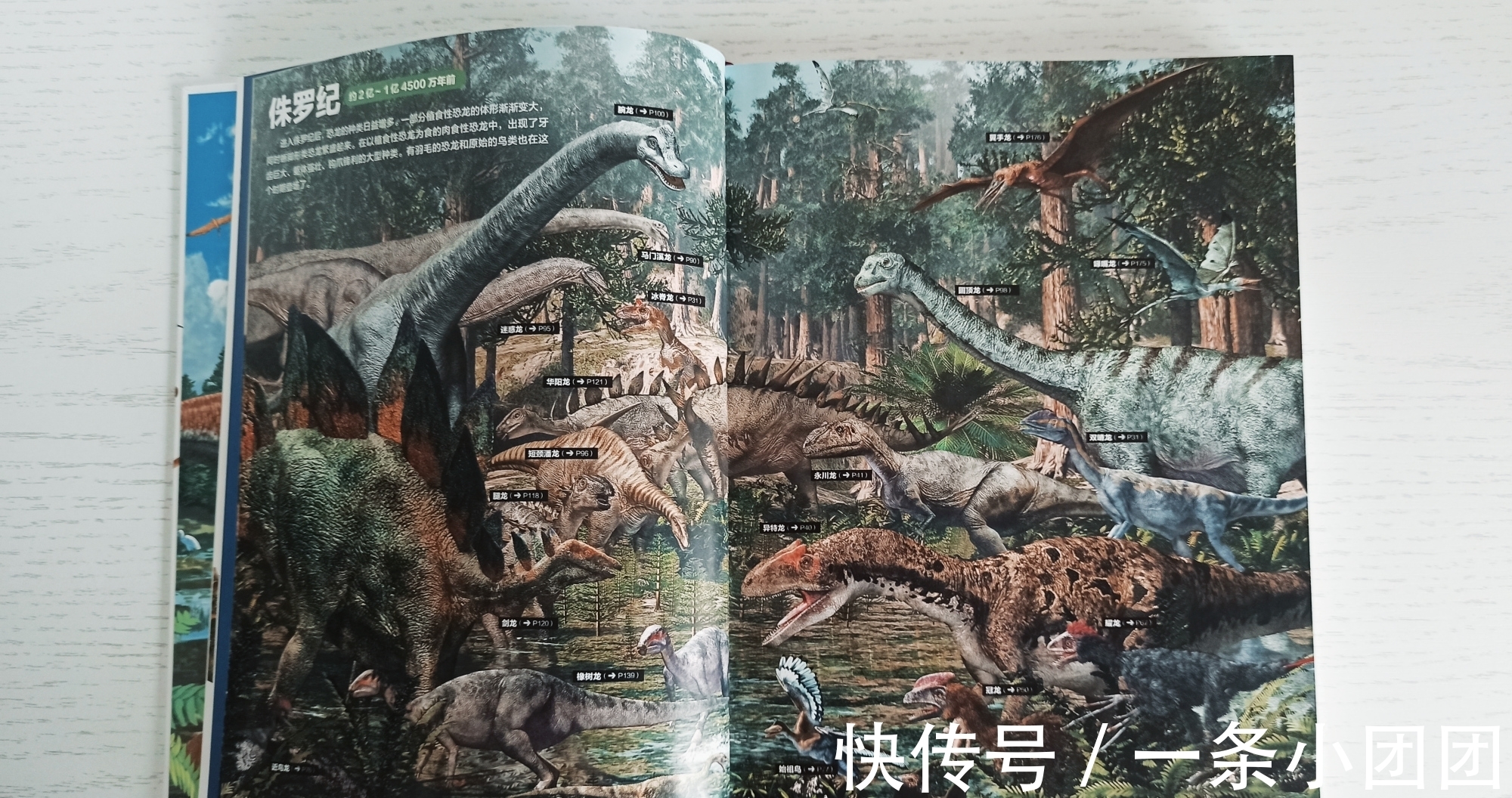 哆啦a梦#一本关于恐龙的百科书,让孩子爱上恐龙的世界