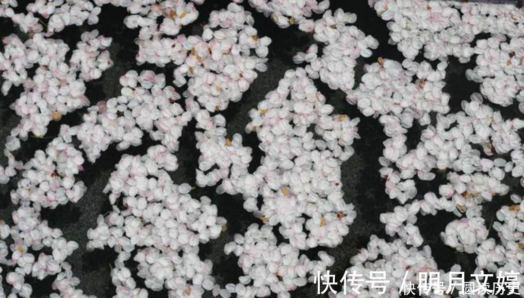 王氏@李商隐的诗常常引用典故,只有这首《落花》,全诗纯用白描的手法