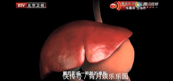 葛根|身边的“天然解毒王”!每天吃一点,健脾祛湿、给肝脏洗洗澡