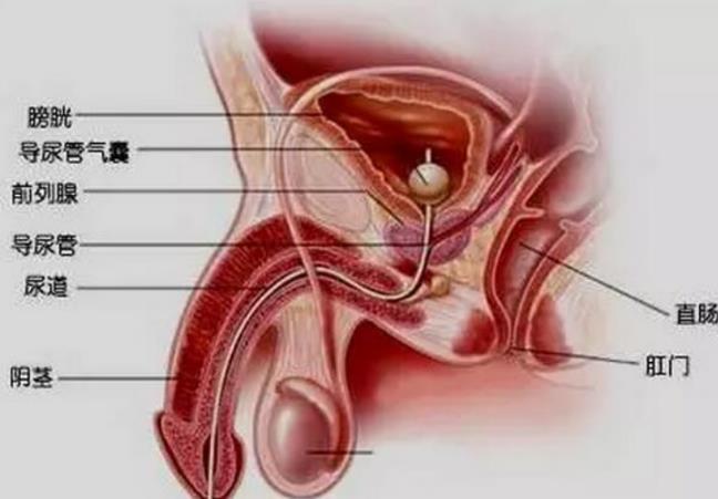 导尿管|“插尿管”是一种什么样的体验有一种酸爽，叫男人才懂