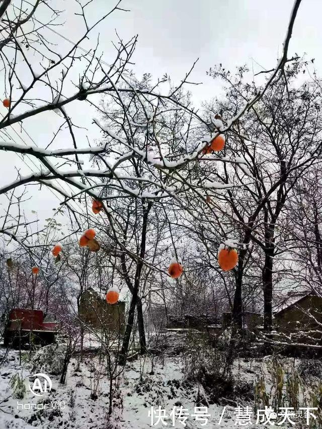 相约|相约灵台的冬季