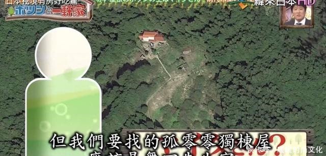  房好吃惊|23年种5700棵树 这个老人把荒山建成了森林公园