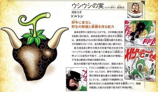 果实|海贼王官方资料又有两颗果实样式公布,艾斯小说迎来全新图透