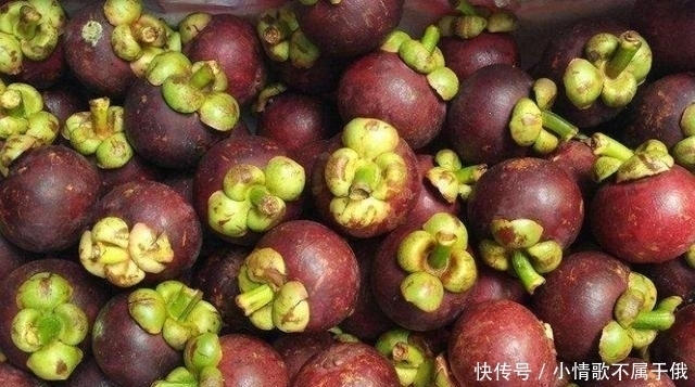 果农|买山竹,不管大小就挑“母”的,果农记住这4点,一挑一个准