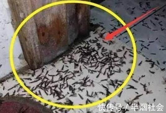 卫生间|卫生间门记得不要装这种,用过的人都说坑,后悔我家装早了!