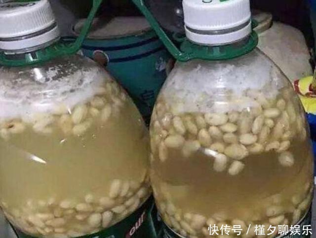 烂根|秋天养花,切忌“乱施肥”,4个“错误”要避免,要不谁也养不活