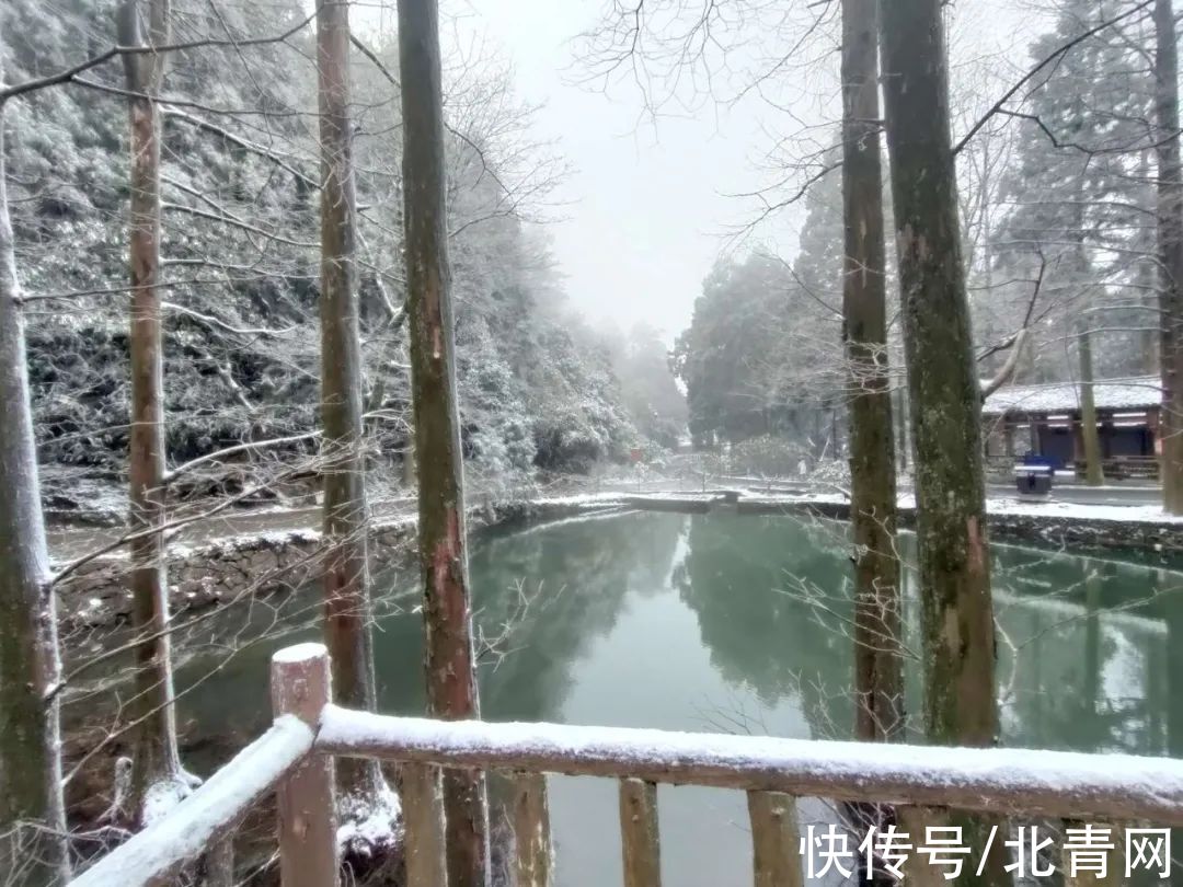 云海|太美了！台州最新雪景！括苍山跌至-10℃，再现云海奇观