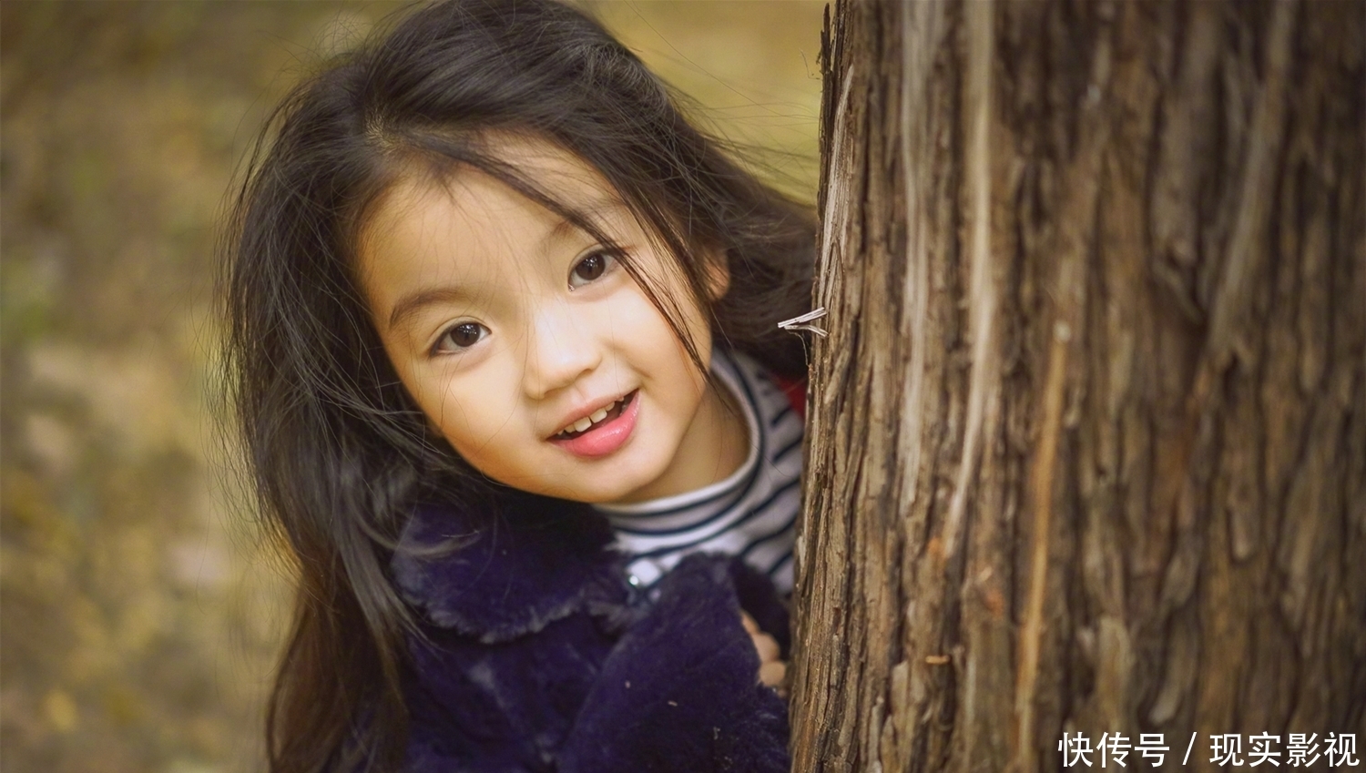 节目|“我要赚钱养弟弟”,4岁出道年入百万的阿拉蕾,现状令人唏嘘