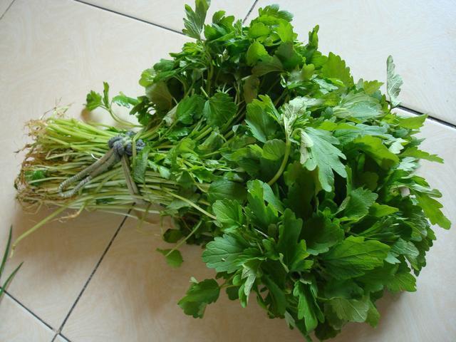 肿毒疮疡|妇科中药益母草这样吃功效好,但医生提醒,这4类女性请别乱用!