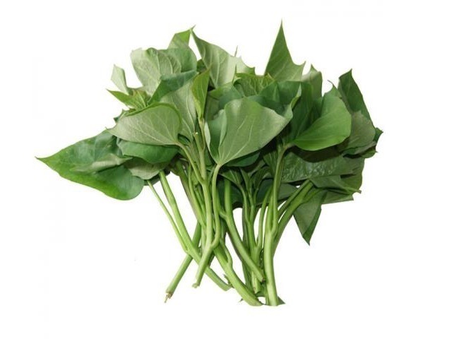 女性朋友|被大家赞为“女人草”的野菜,养护子宫,美容养颜,你吃过几个