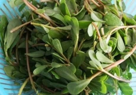 乳腺疾病|甲状腺结节的“克星”找到了,经常吃,化瘀散结,结节悄悄变小!