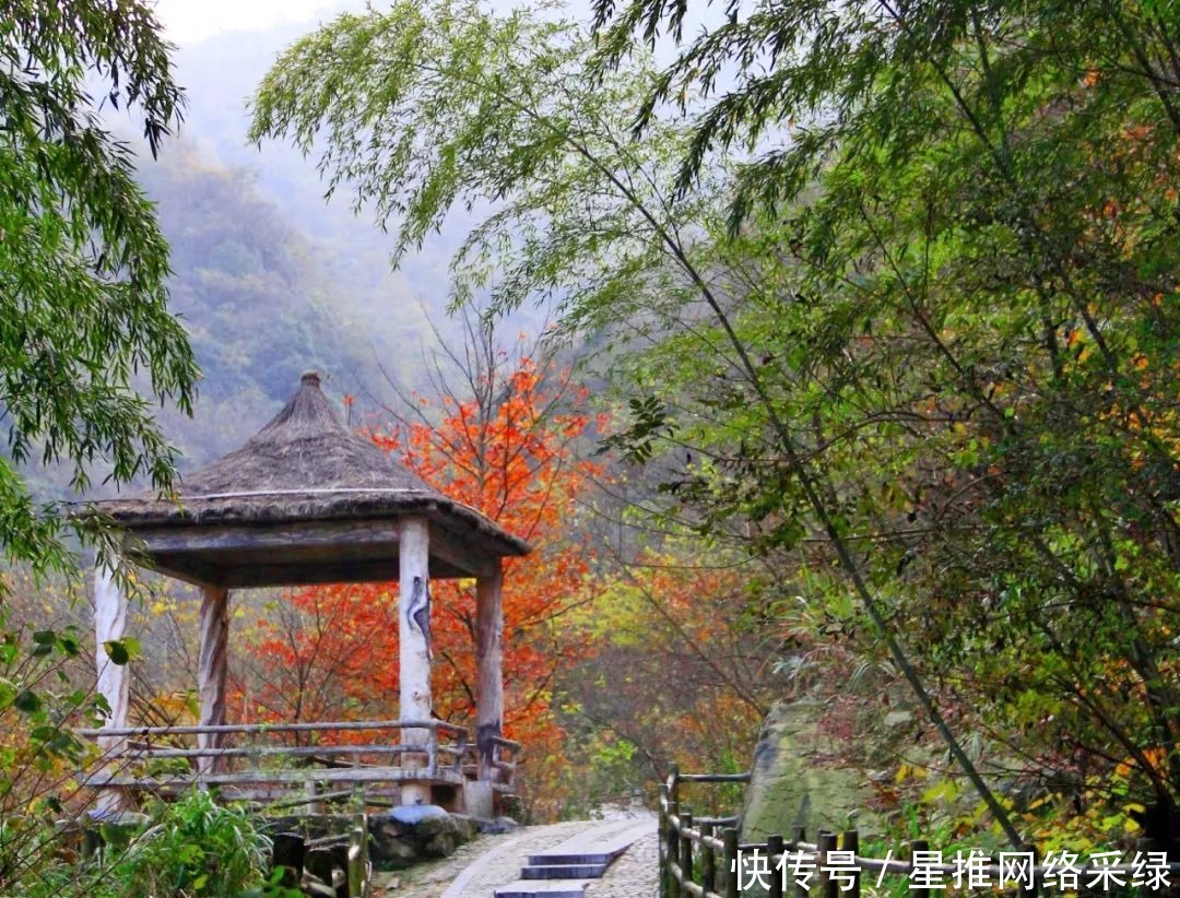 风光|在十一月的大别山里，寻觅色彩斑斓的龙津溪地风光！