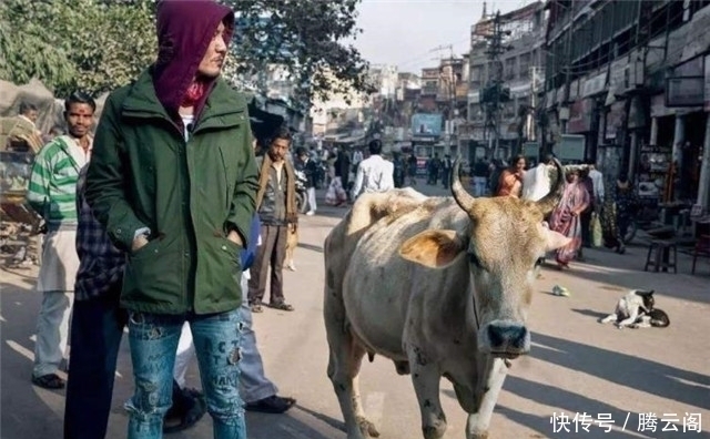 美食|印度人疑惑:我们的街头美食那么好吃,为什么中国游客不喜欢?