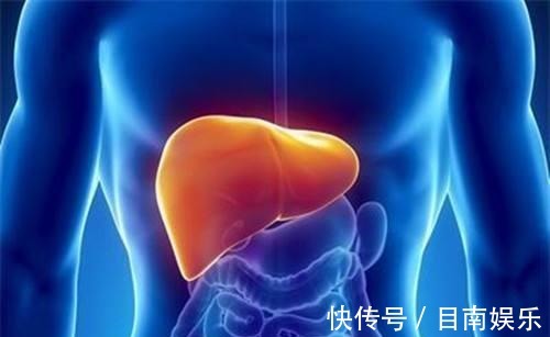 乙肝|太多明星死于肝癌,肝癌发生前身体会出现预兆,仔细观察