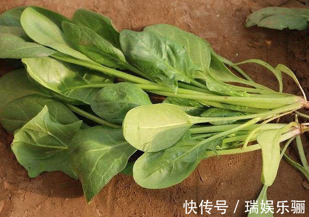 夜盲症|此物被称为“视力药”,近视孩子多吃,缓解眼疲劳,比“药”管用