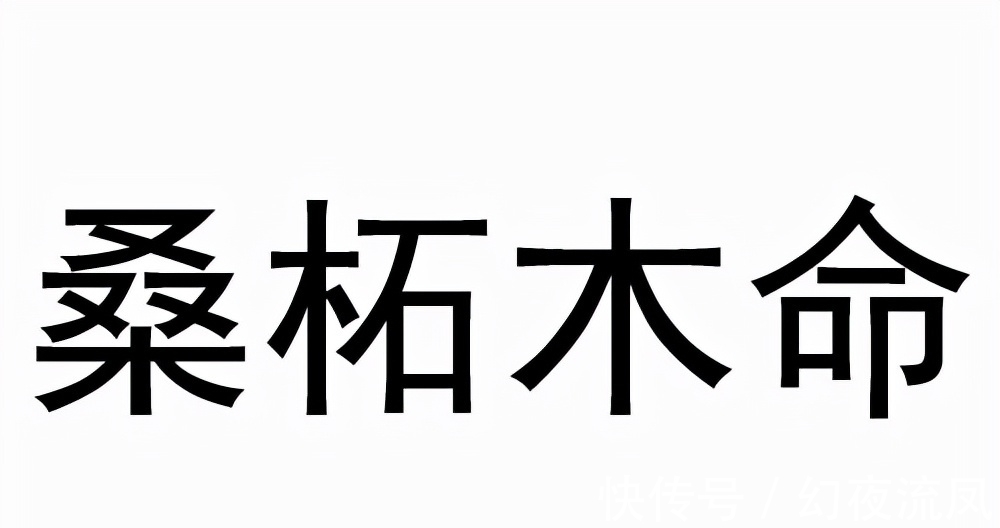 脾气|不同出生的年的生肖鼠，12月：宽容为主，不要喜“口舌之争”！