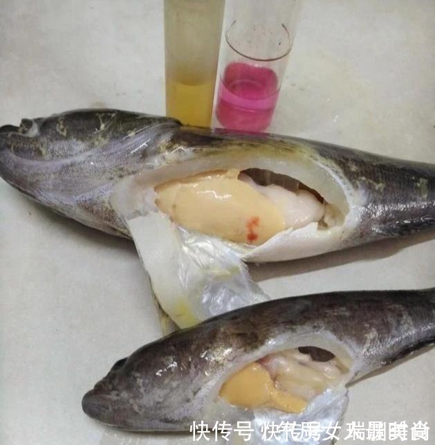这种“入侵”鱼很成功，和沙塘鳢很像，现在又被吃成“高价美食”