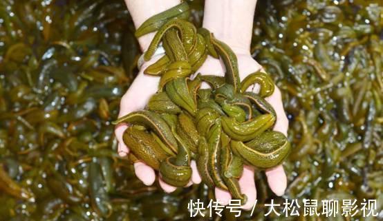 男孩|蚂蟥能在人体内长期存活吗?5岁男孩不小心吞进肚,1年后才发现