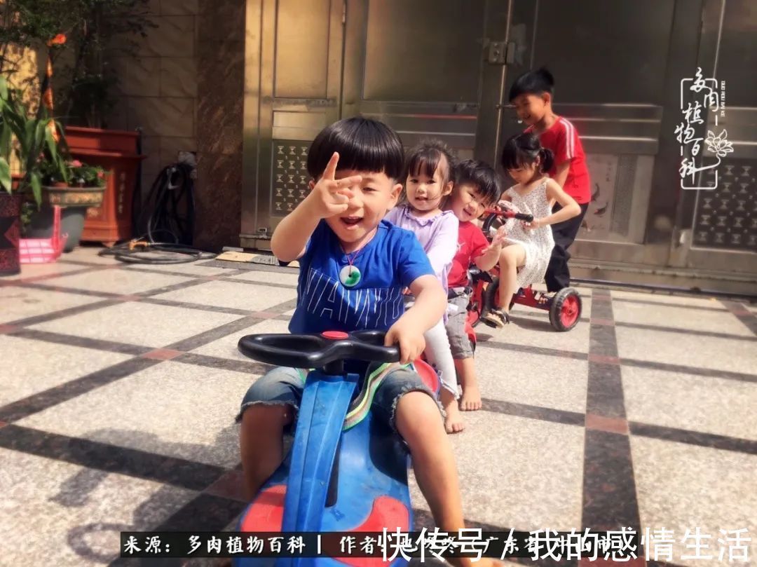 养多肉的路上患得患失,却依然如最初般热爱!