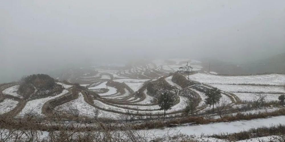 雪景|丽水这些地方下雪了，美炸了~最新雪景美图，请签收