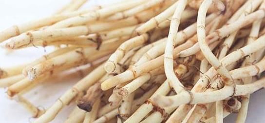 个个|7种农村常见的野菜,个个都是治病的“良药”,你吃过几个