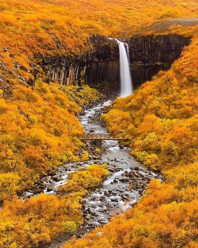 那些如画般的绝美风景……