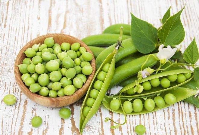 绿萝花|糖尿病的“天敌”终于被发现,经常吃点,血糖稳稳降,身体更健康