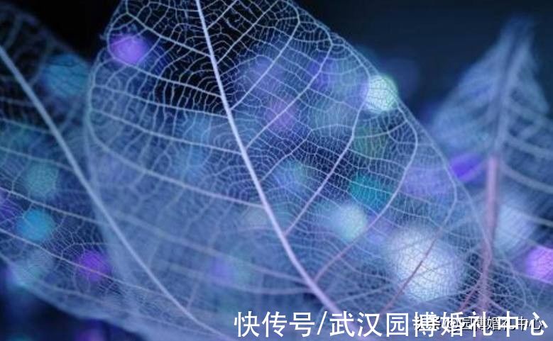 兴趣感|脾气虽然锋芒带刺，但心却很容易被捂热的星座