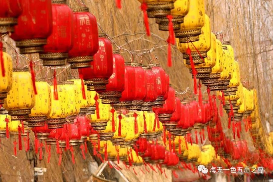 瑞福|灯笼献瑞福，虎年中国红