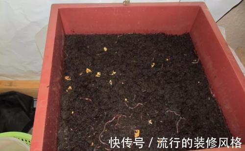 喷洒|小苏打养花技巧:堆肥去异味,喷洒叶面杀虫抑菌,天然清洁剂
